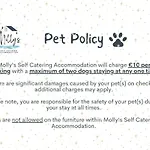 Molly's Self Catering * 캐번